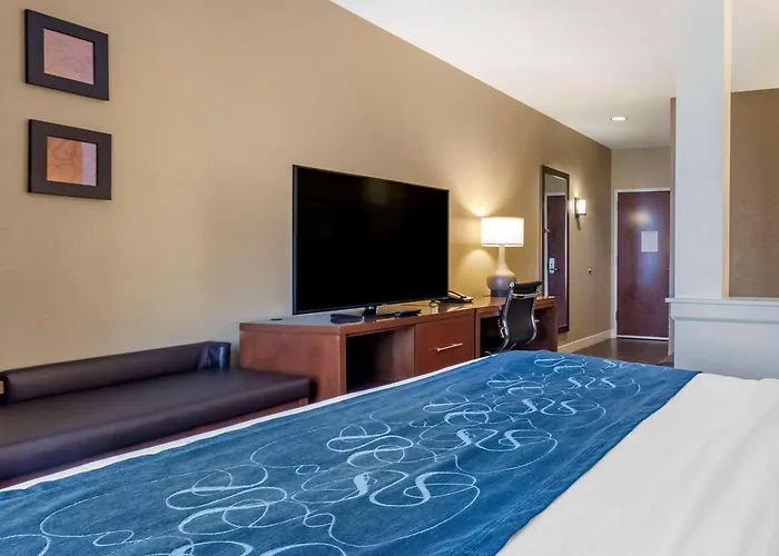 Comfort Suites Airport-University